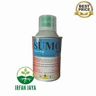 Sumo Obat Apa